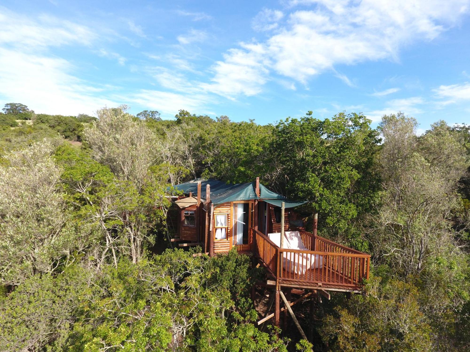 Teniqua Treetops Hotel Karatara Settlement Kültér fotó