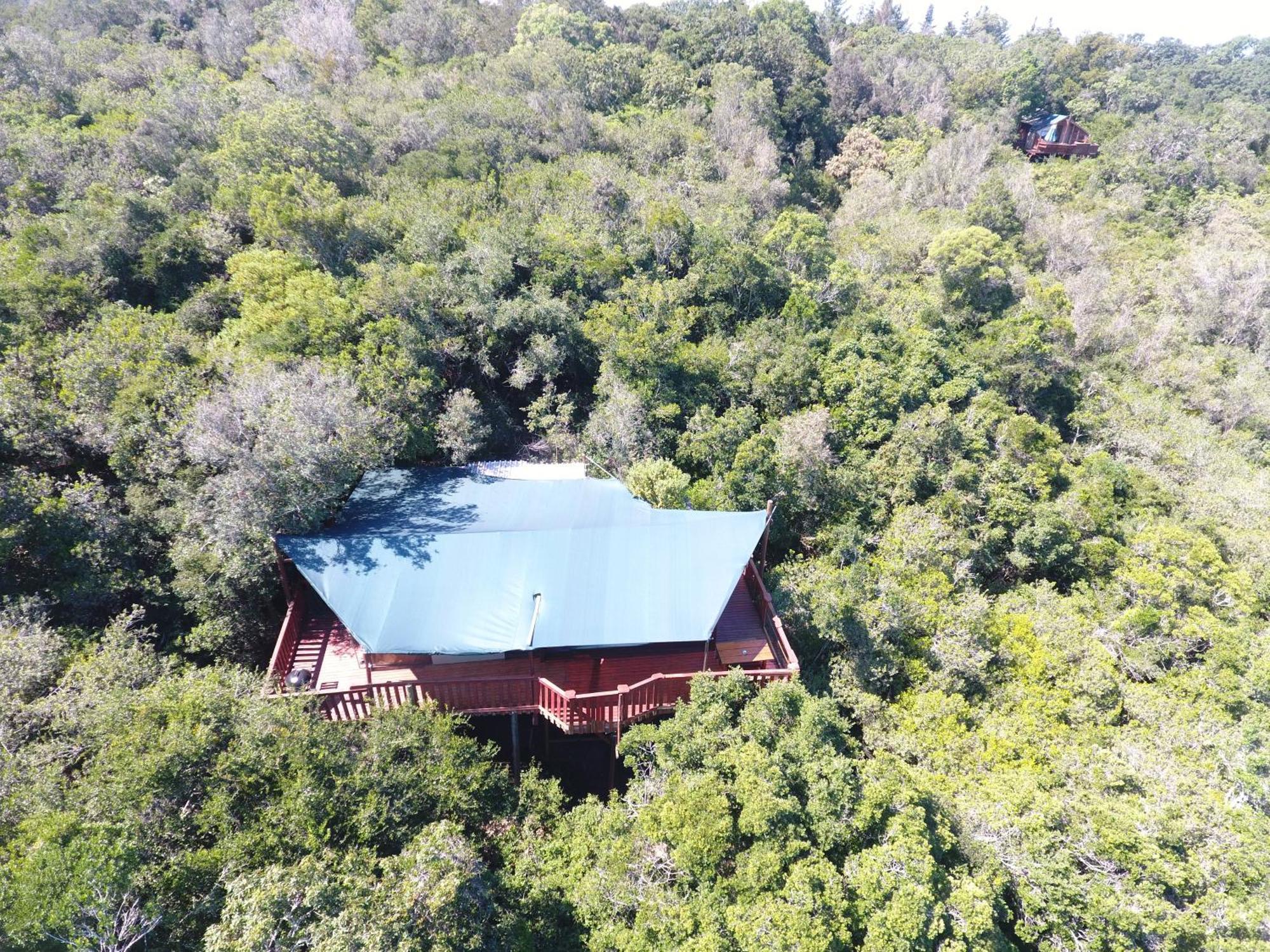 Teniqua Treetops Hotel Karatara Settlement Kültér fotó