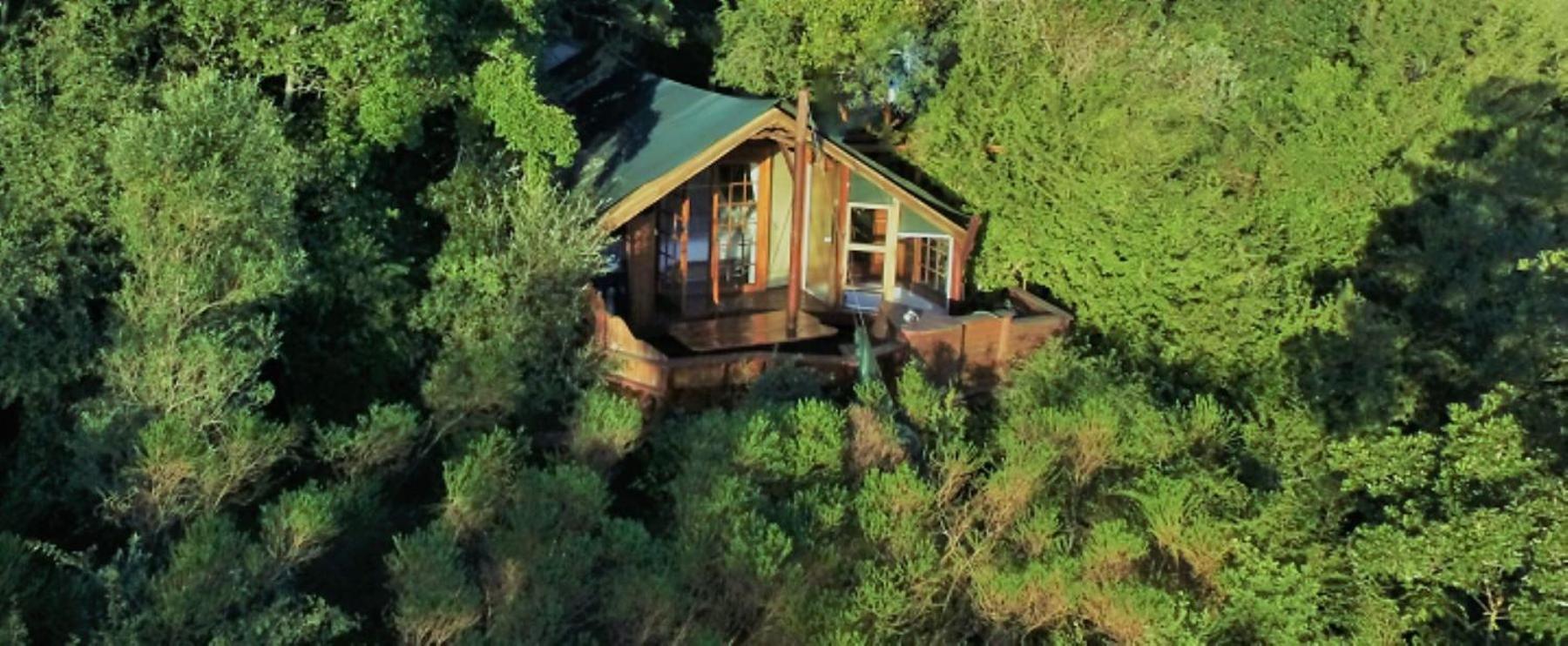 Teniqua Treetops Hotel Karatara Settlement Kültér fotó