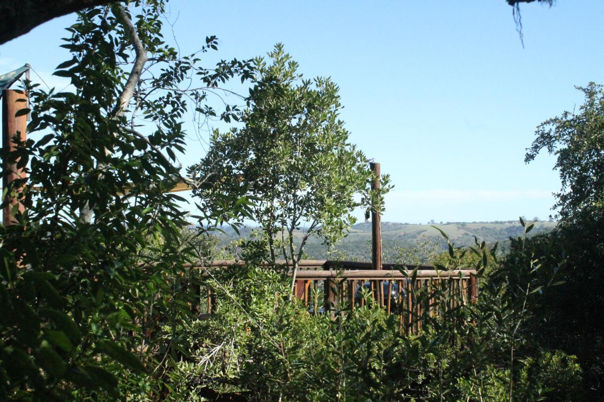 Teniqua Treetops Hotel Karatara Settlement Kültér fotó