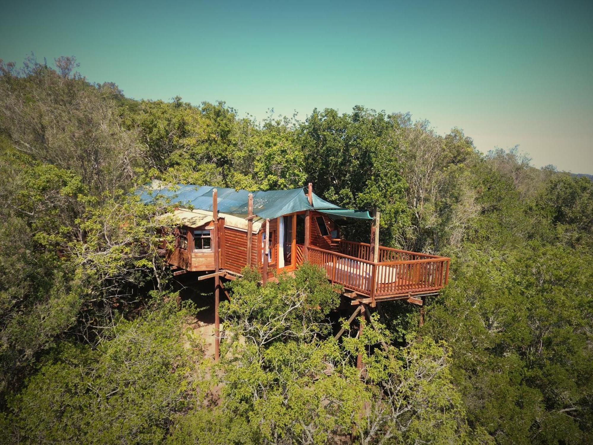 Teniqua Treetops Hotel Karatara Settlement Kültér fotó