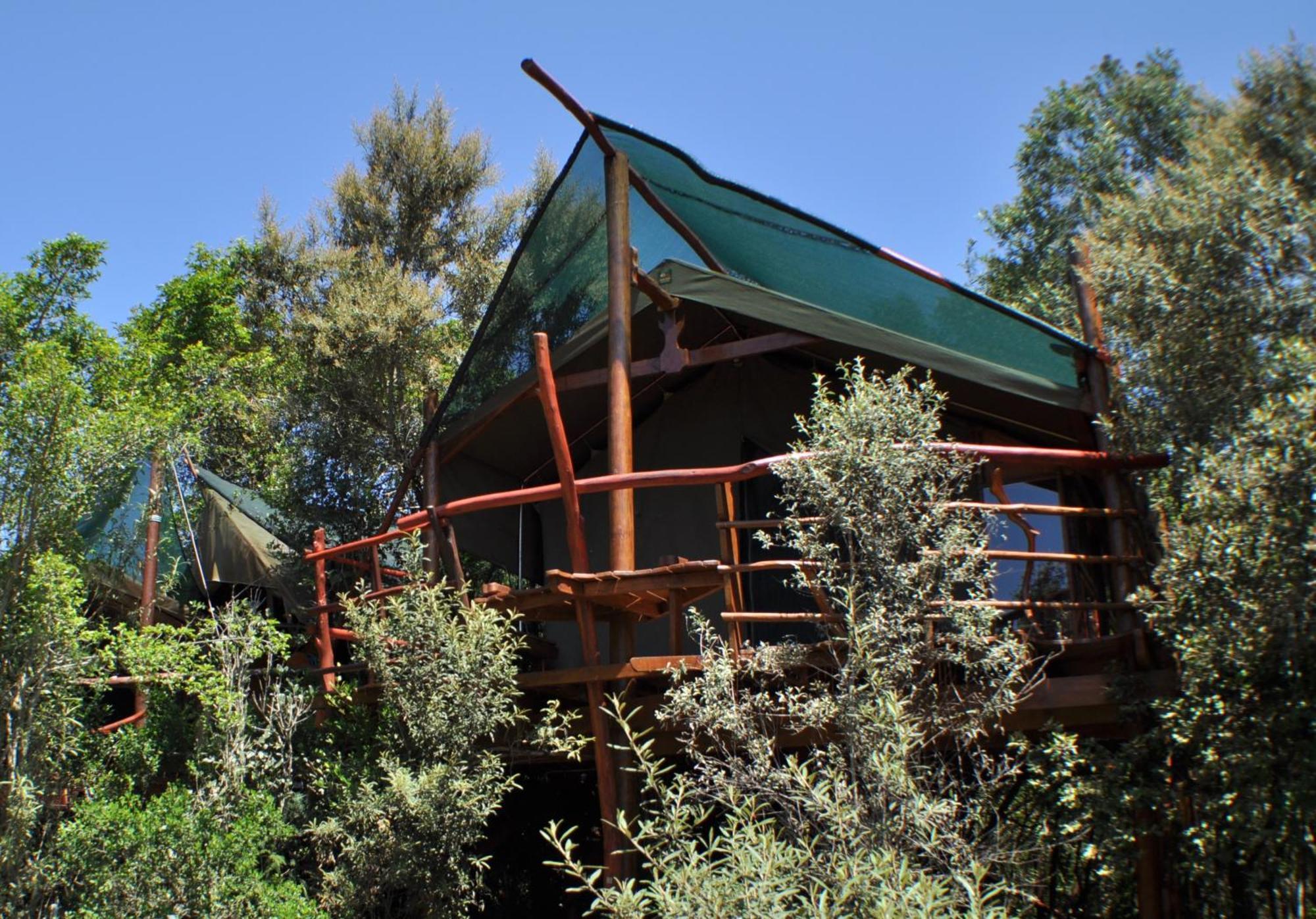 Teniqua Treetops Hotel Karatara Settlement Kültér fotó