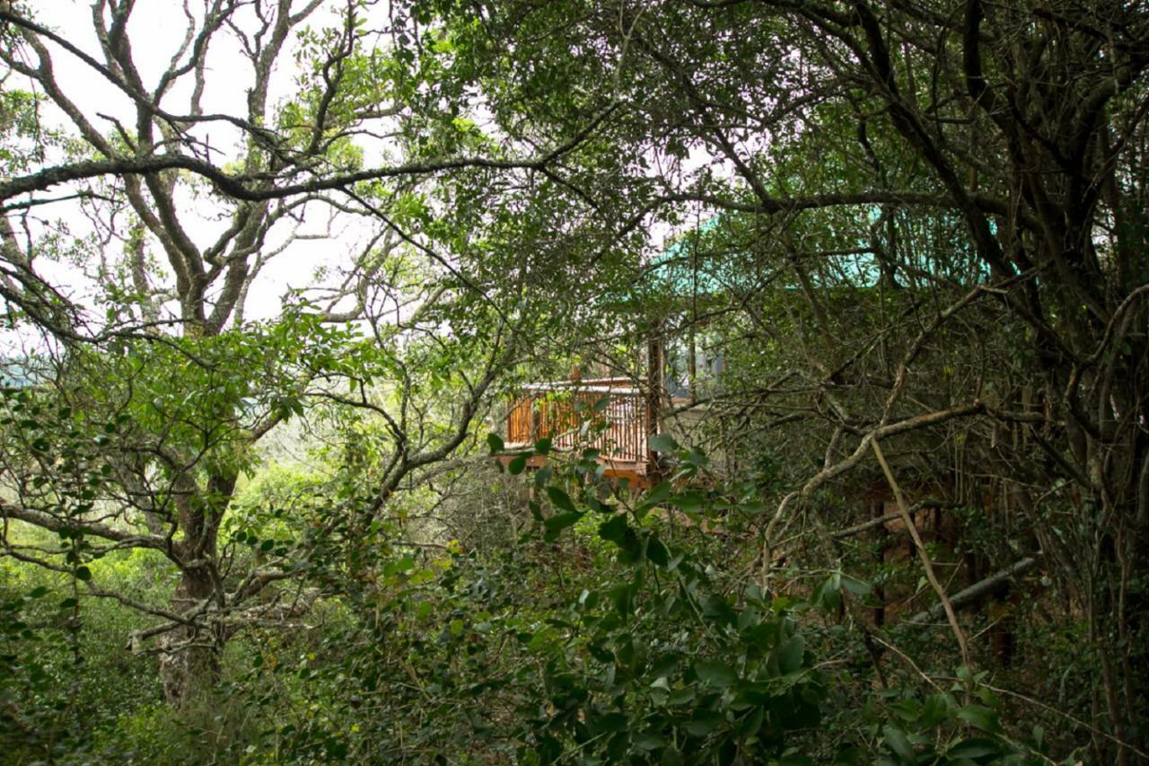 Teniqua Treetops Hotel Karatara Settlement Kültér fotó