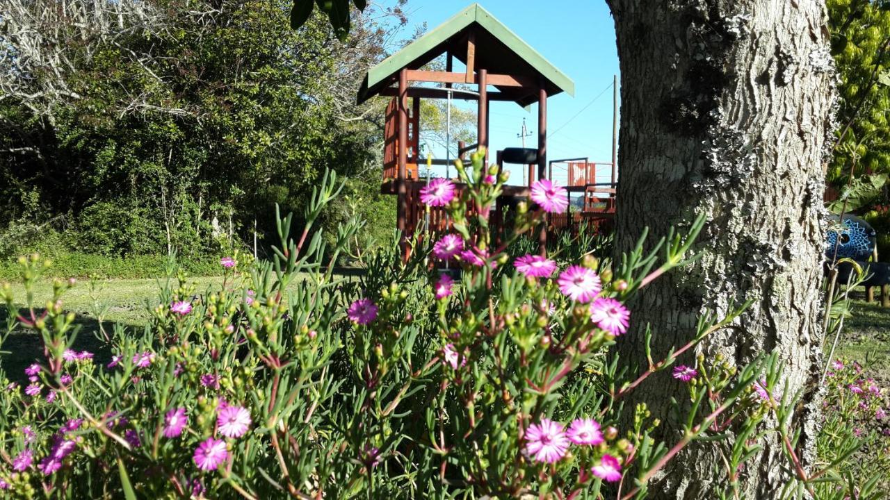 Teniqua Treetops Hotel Karatara Settlement Kültér fotó