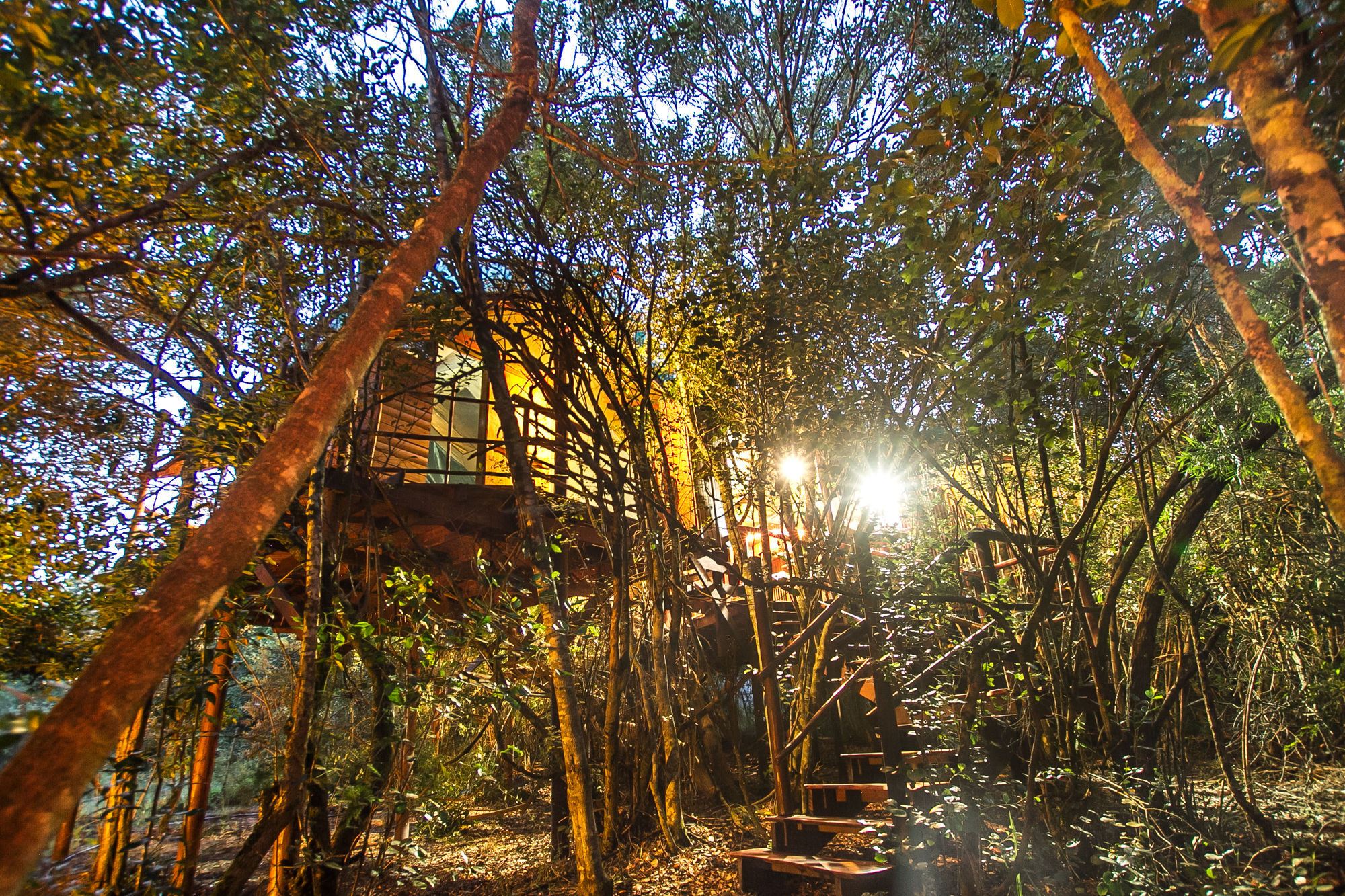 Teniqua Treetops Hotel Karatara Settlement Kültér fotó