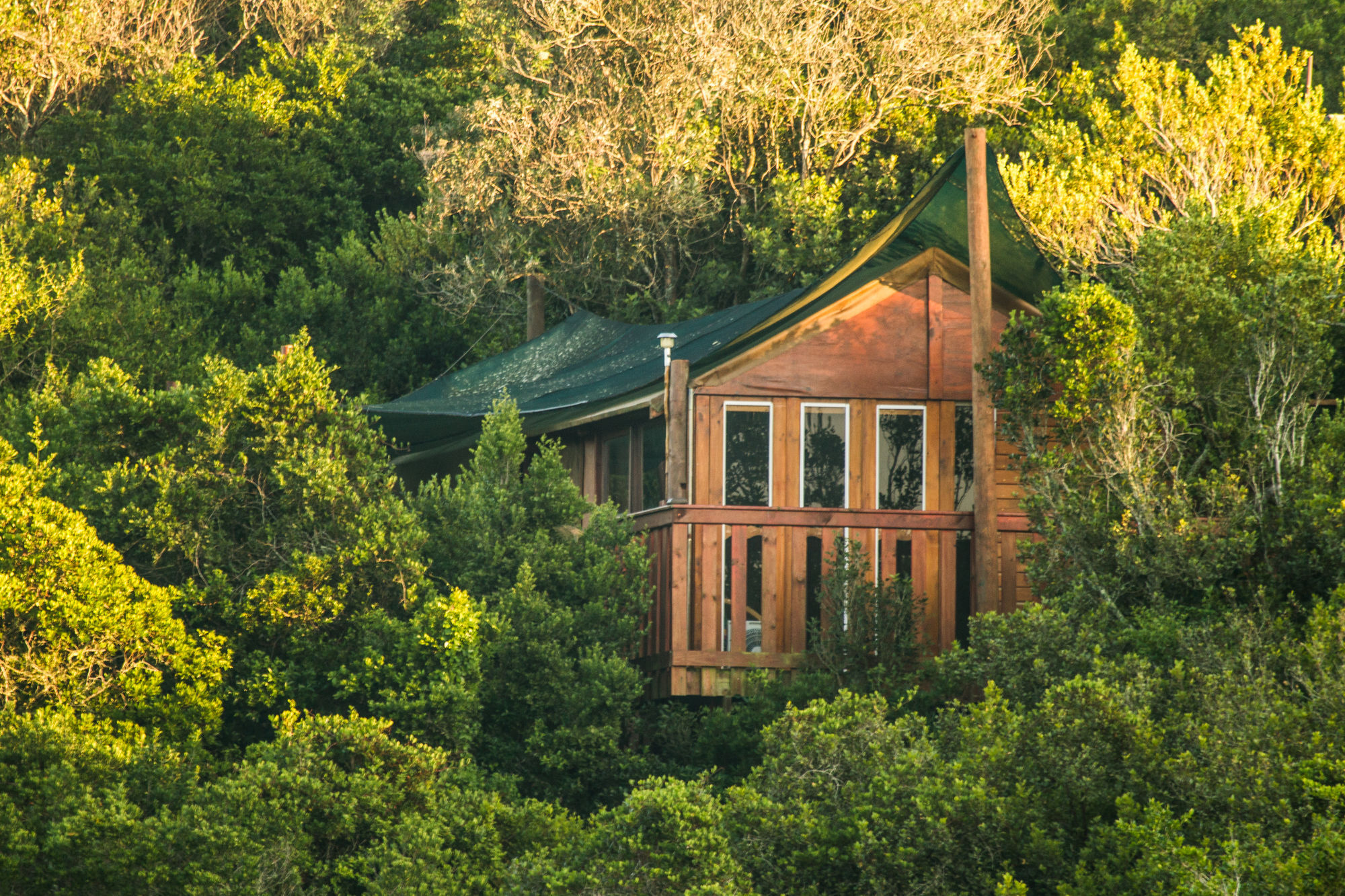 Teniqua Treetops Hotel Karatara Settlement Kültér fotó