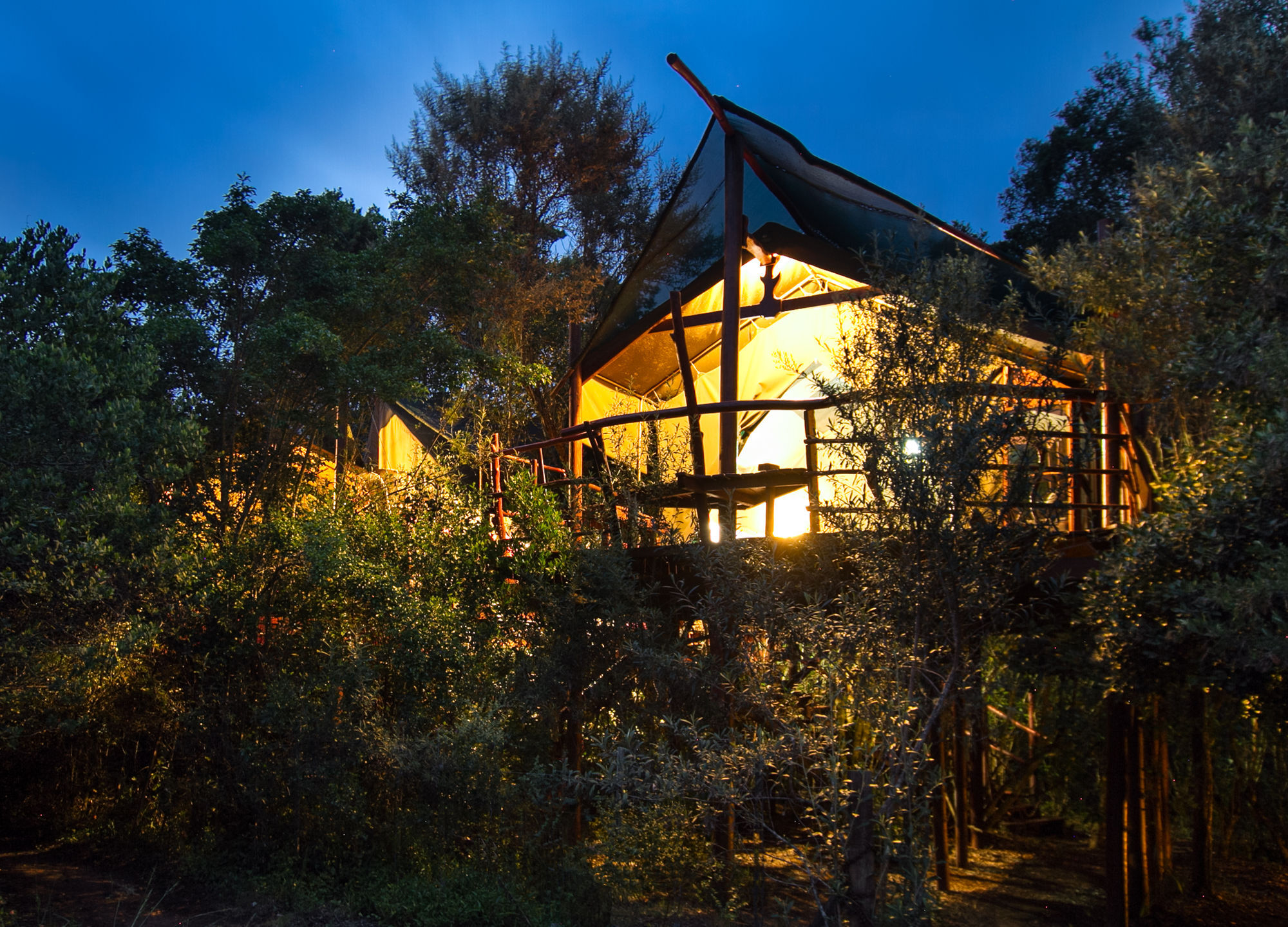 Teniqua Treetops Hotel Karatara Settlement Kültér fotó