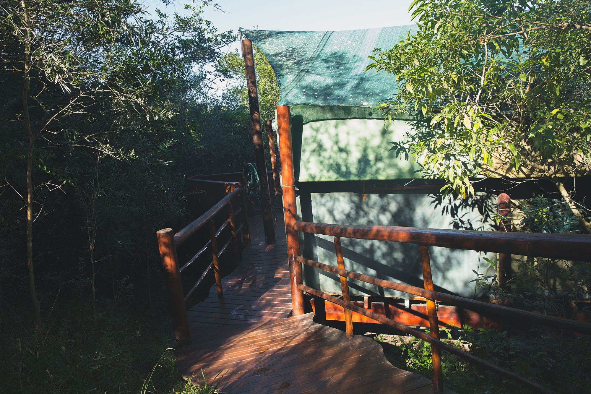 Teniqua Treetops Hotel Karatara Settlement Kültér fotó