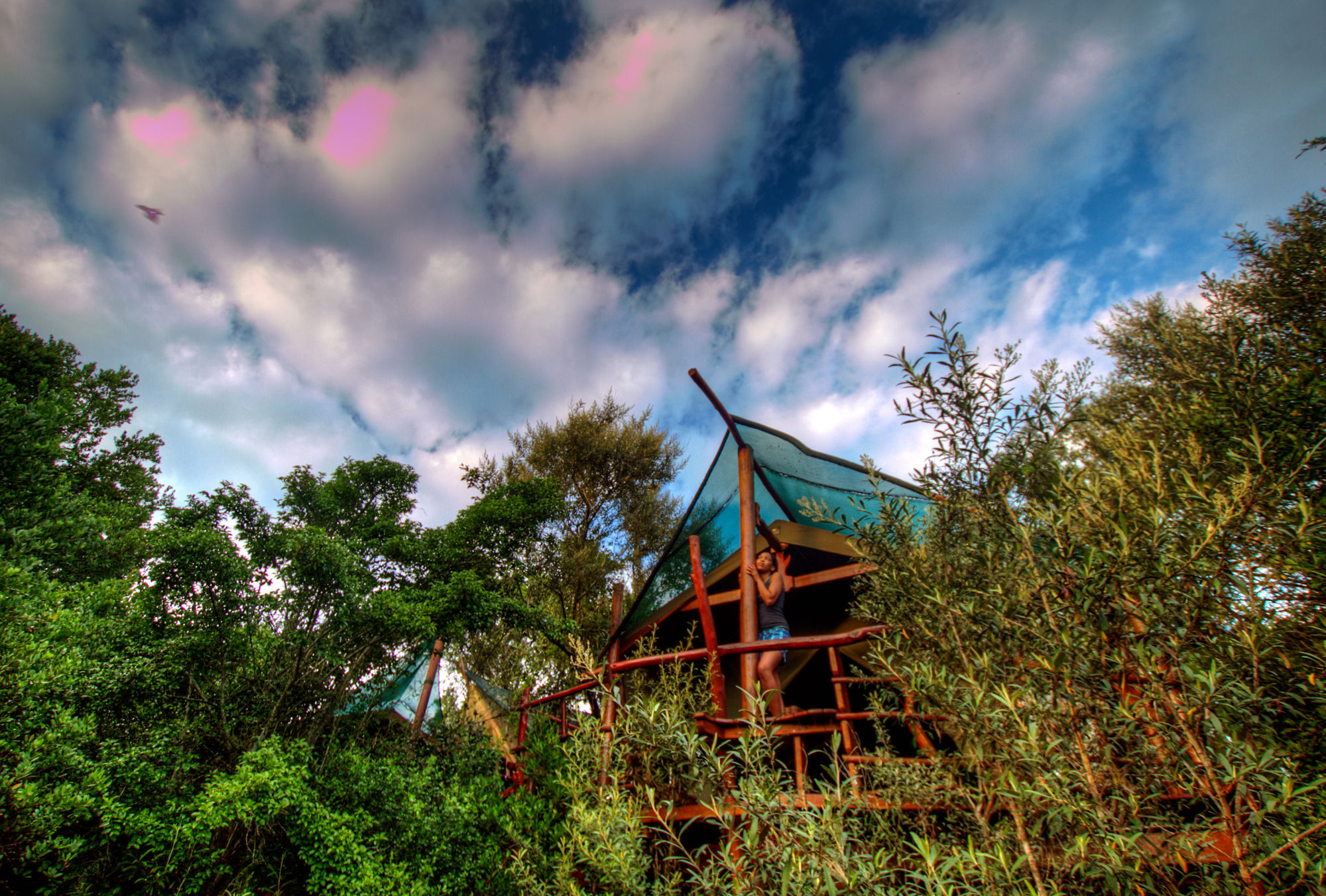 Teniqua Treetops Hotel Karatara Settlement Kültér fotó